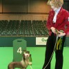 Cleo Crufts 2008