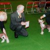 crufts_04_BOB,jpg