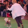 filip_crufts