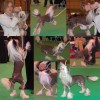 Cleo at Crufts 2009